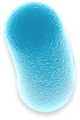 dna_02