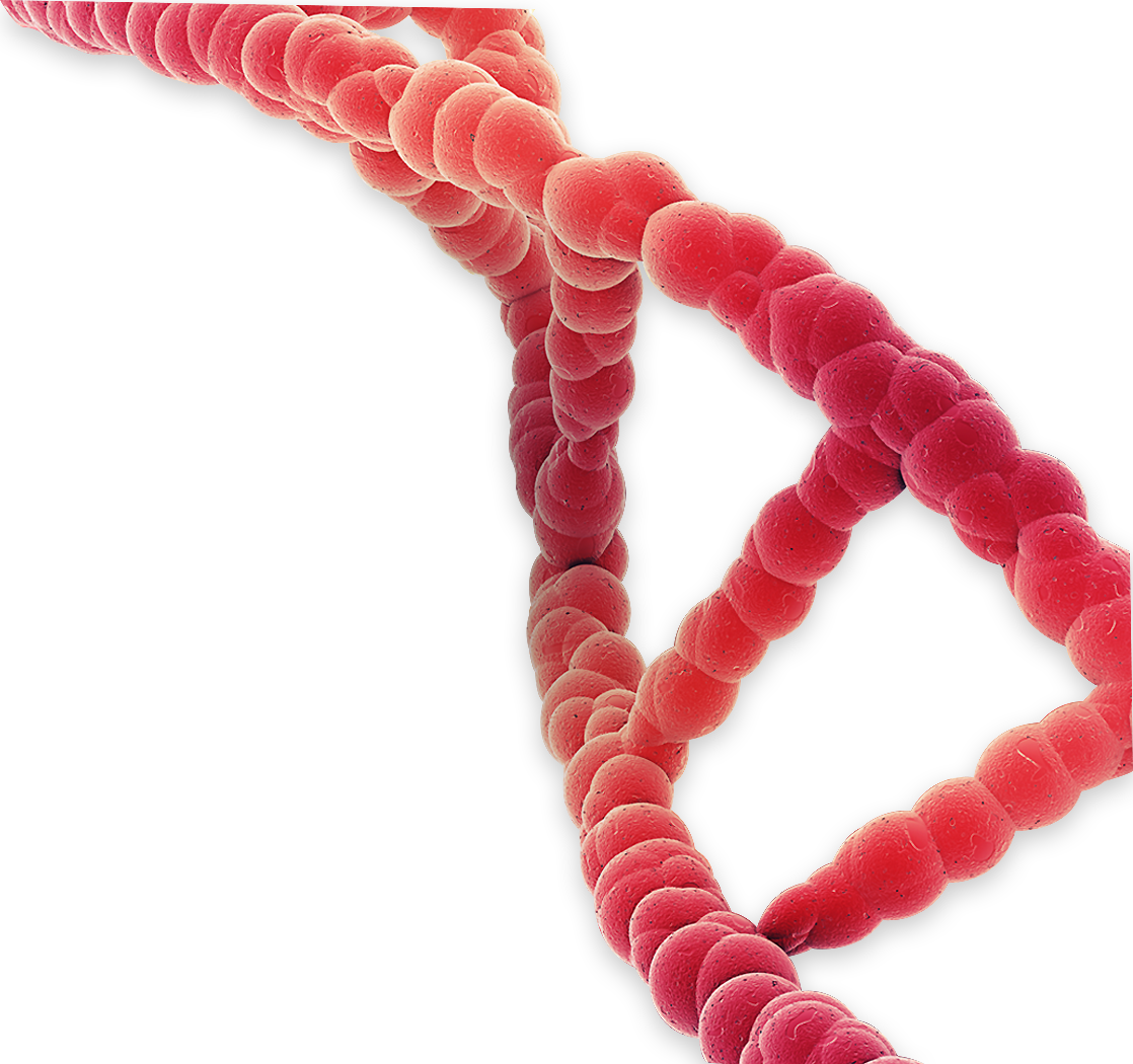 top_dna